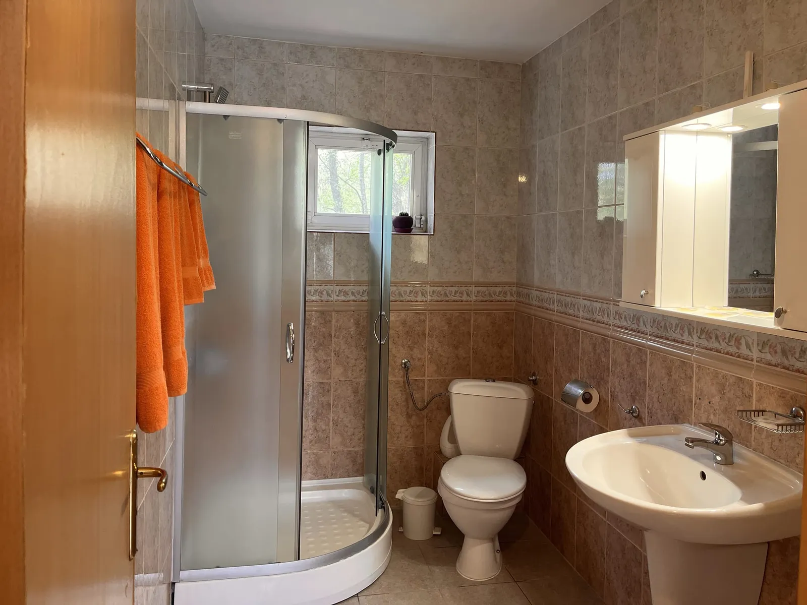 Villa: bathroom with shower cabin, washbasin and toilet