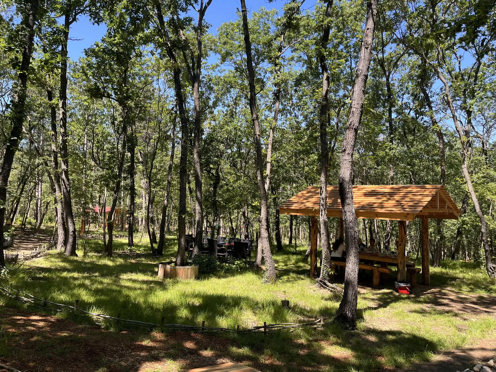 Forest Park, photo 1