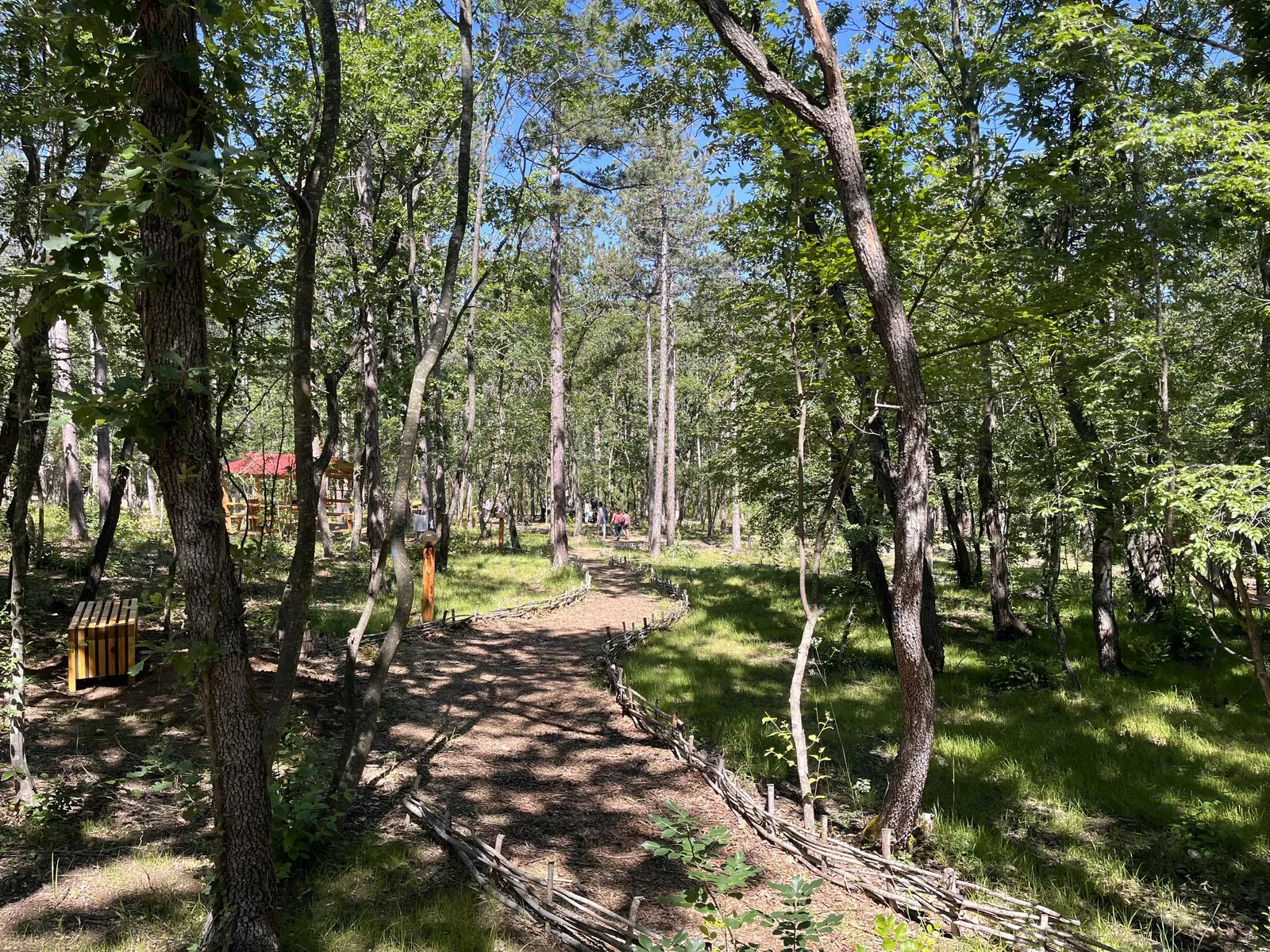Forest Park, photo 10
