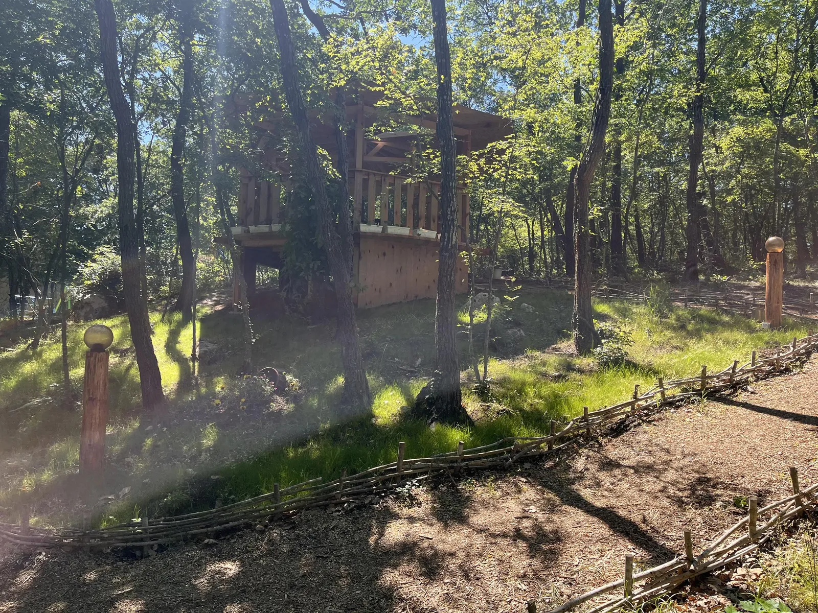 Forest Park, photo 11