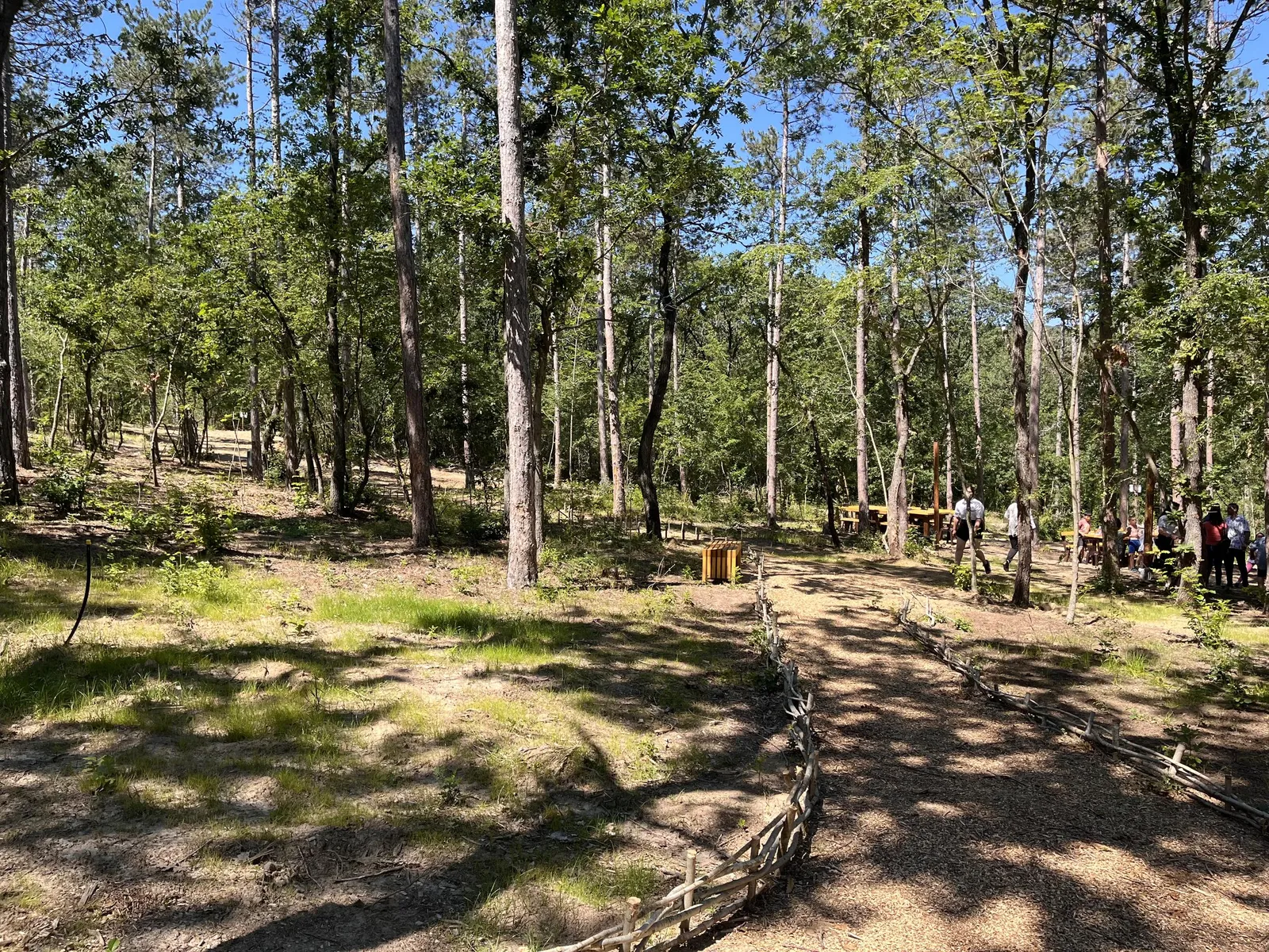 Forest Park, photo 12