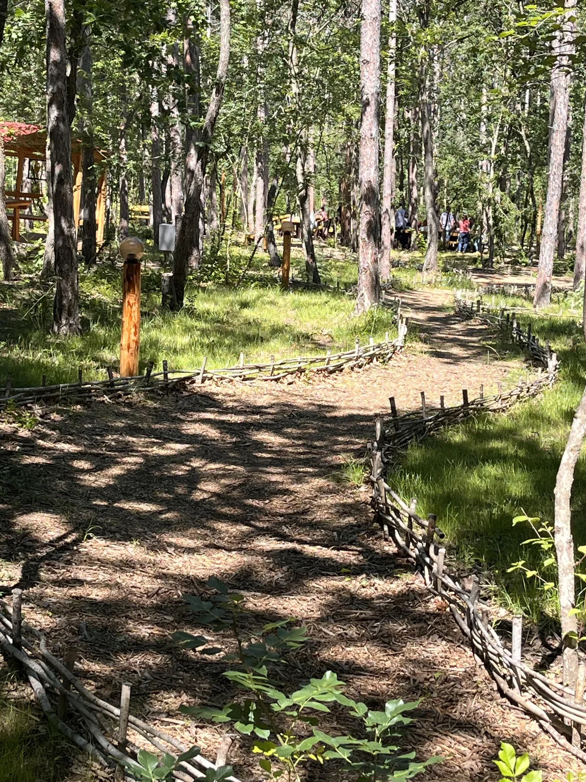 Forest Park, photo 13