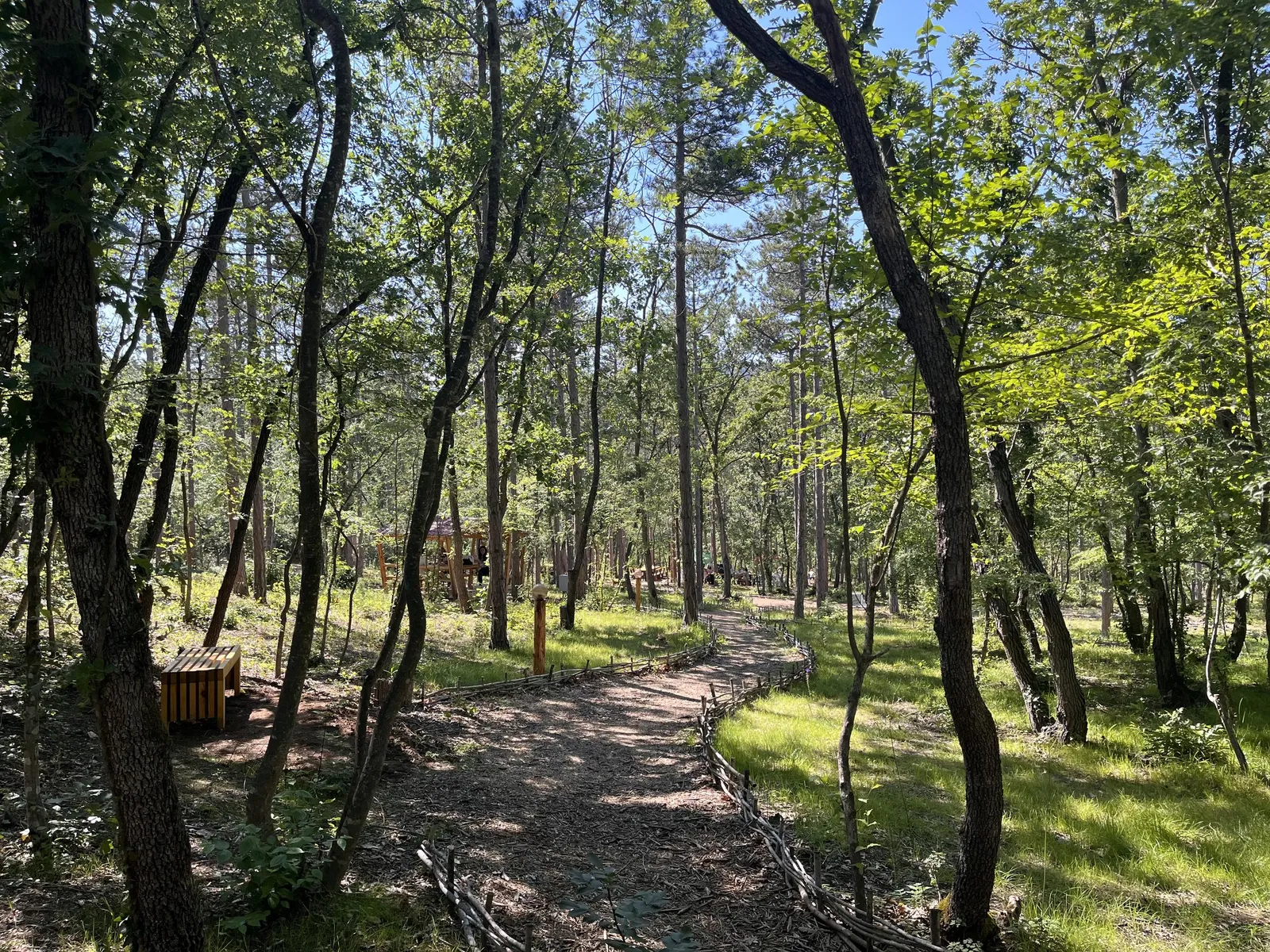 Forest Park, photo 14