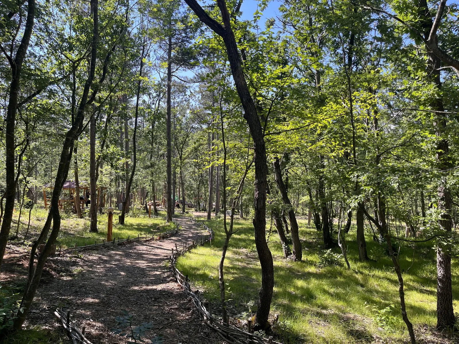 Forest Park, photo 15