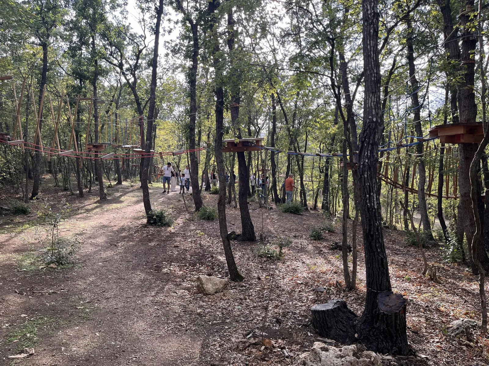 Forest Park, photo 21