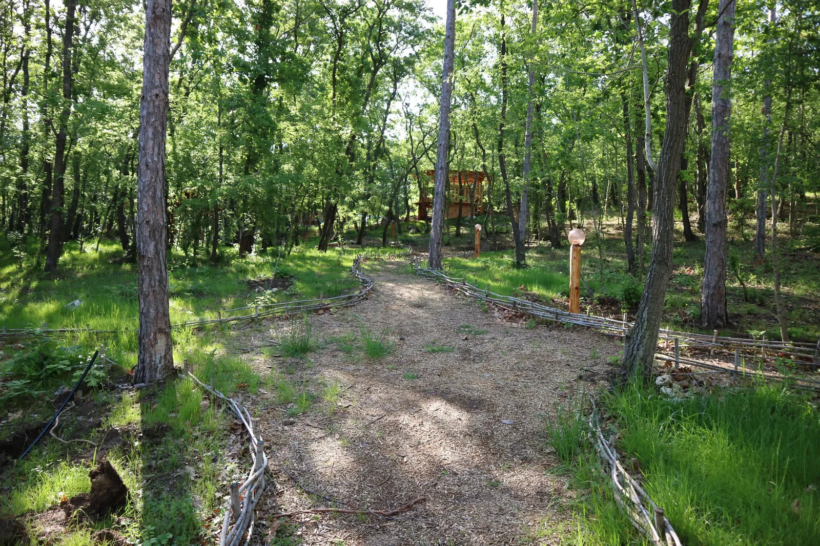 Forest Park, photo 31