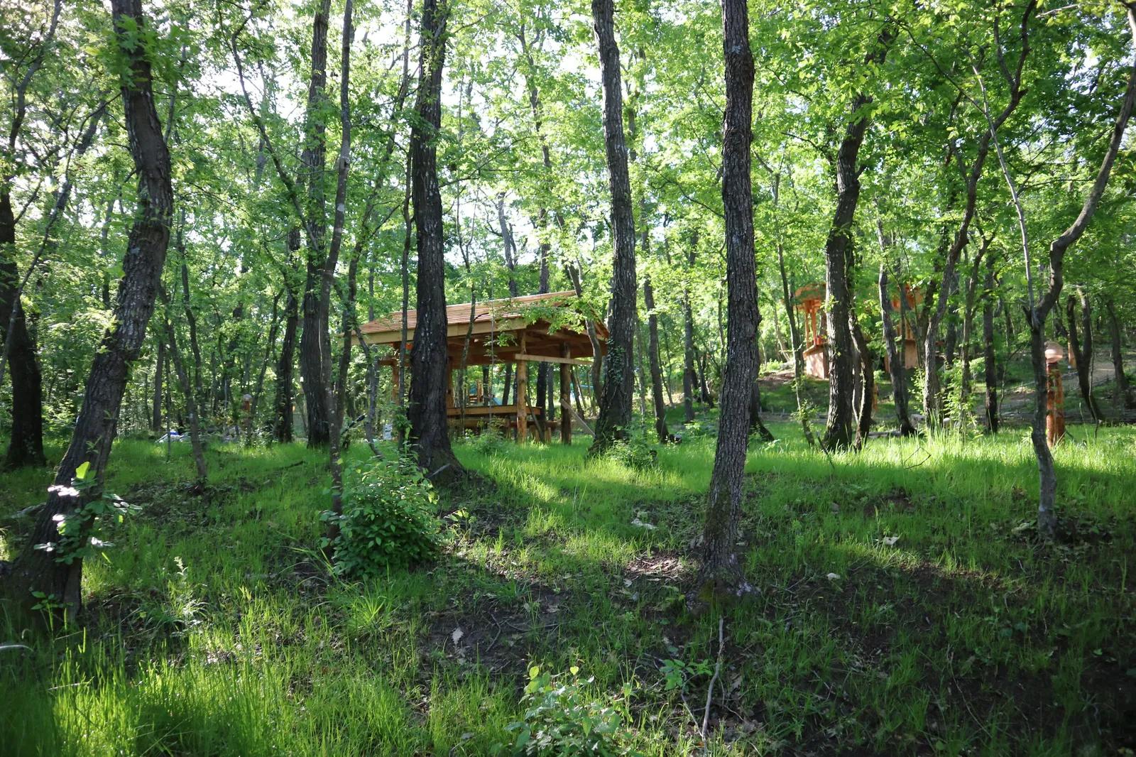 Forest Park, photo 32