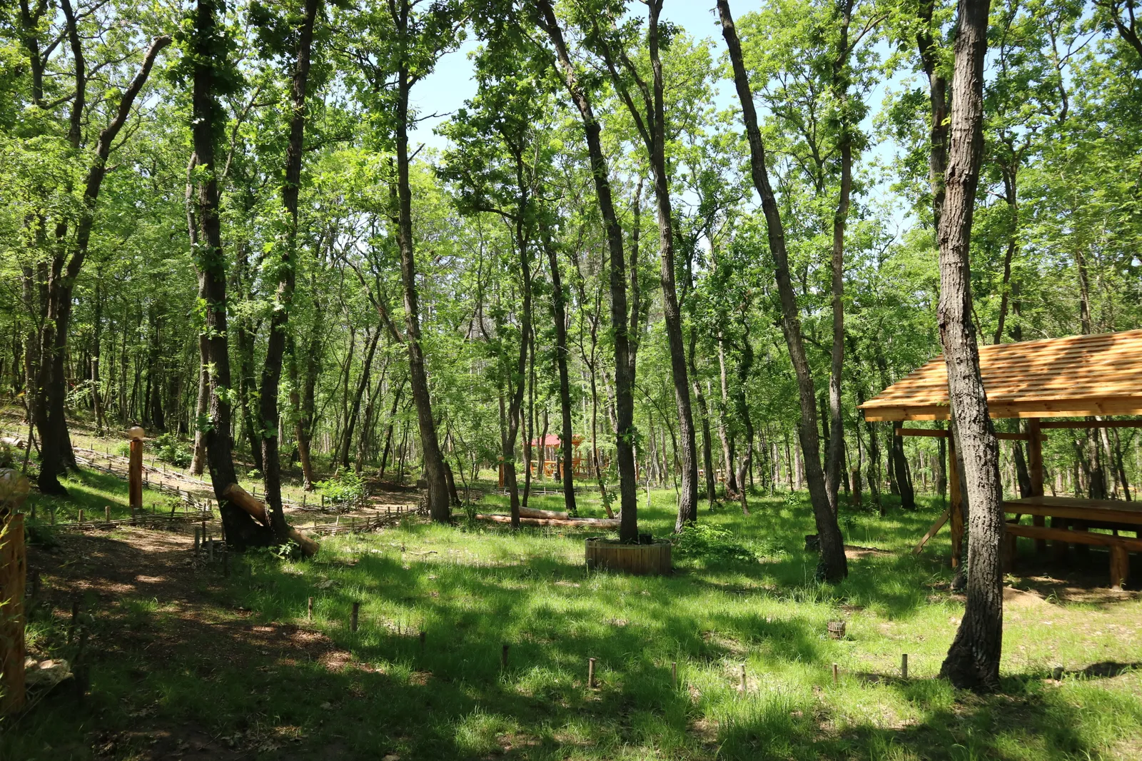Forest Park, photo 33