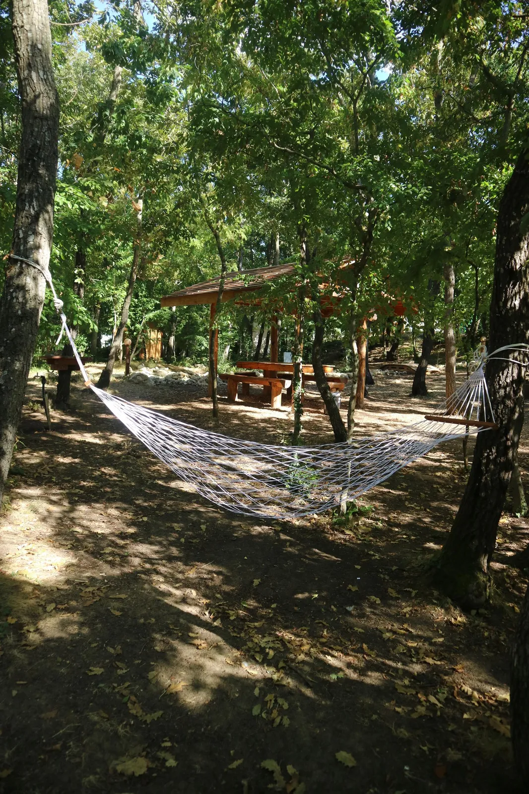Forest Park, photo 37