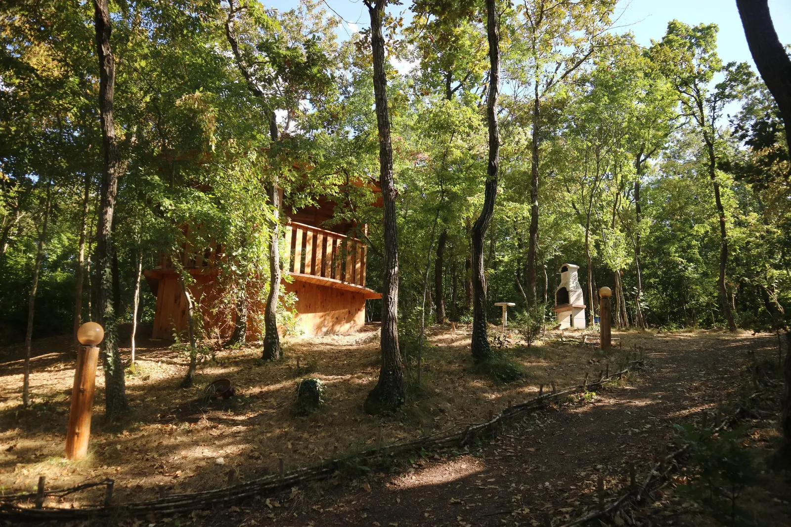 Forest Park, photo 39