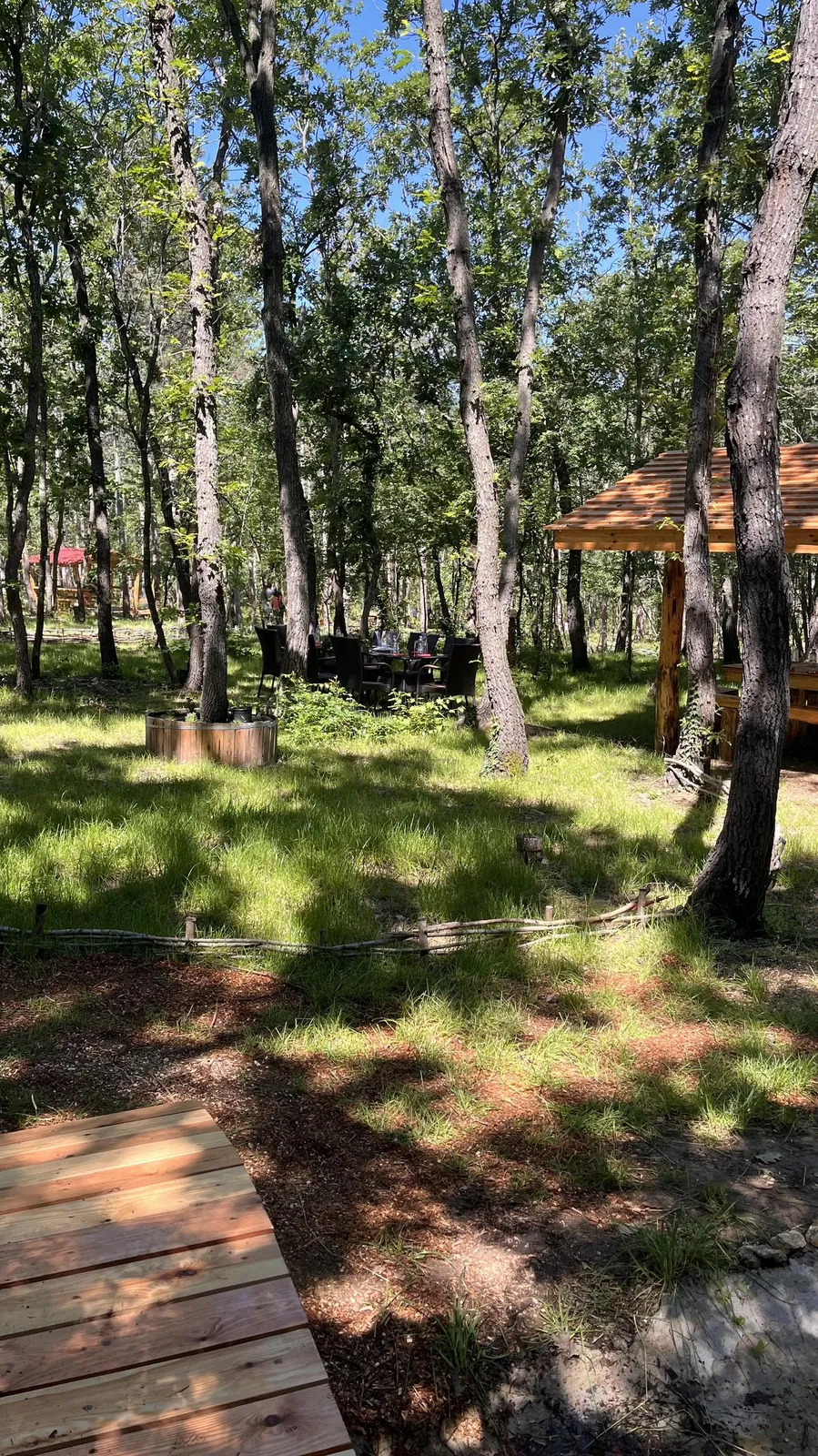 Forest Park, photo 40