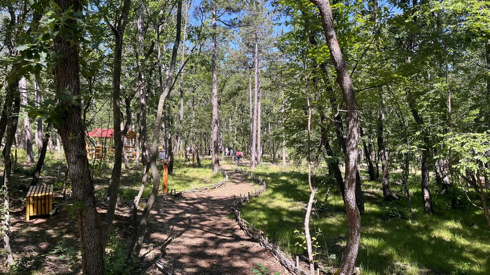 Forest Park, photo 41