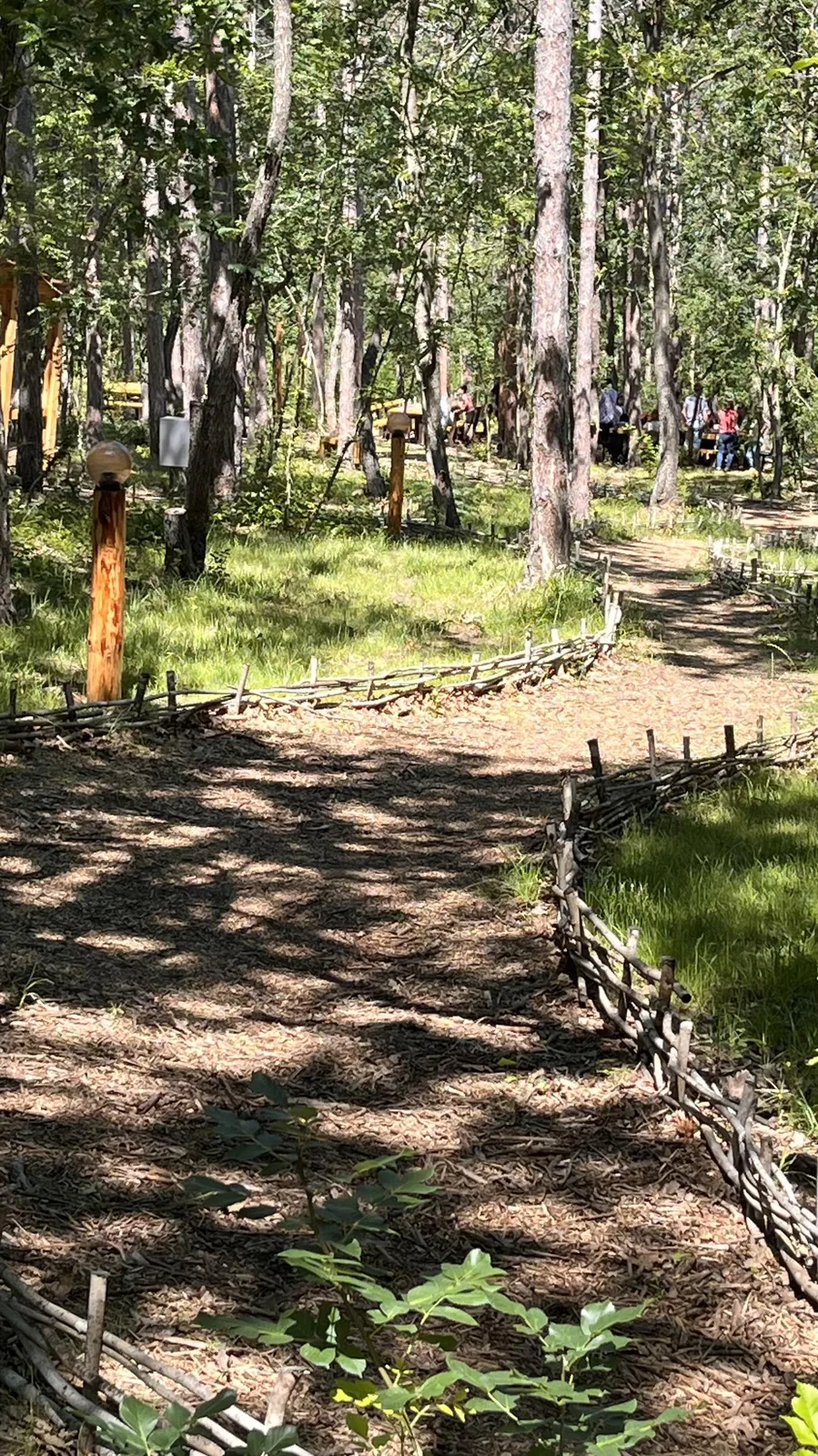 Forest Park, photo 42