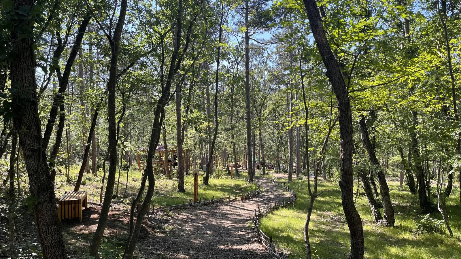 Forest Park, photo 44