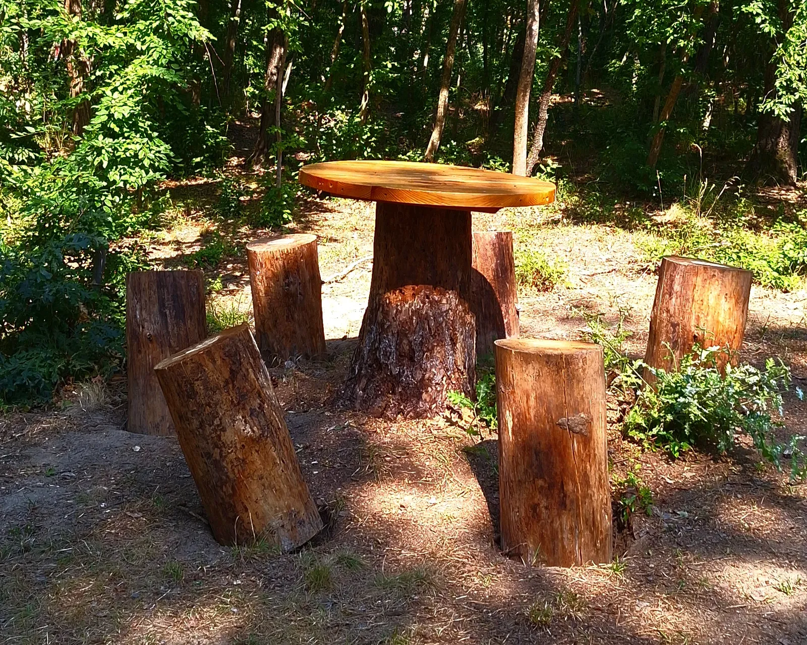 Forest Park, photo 56