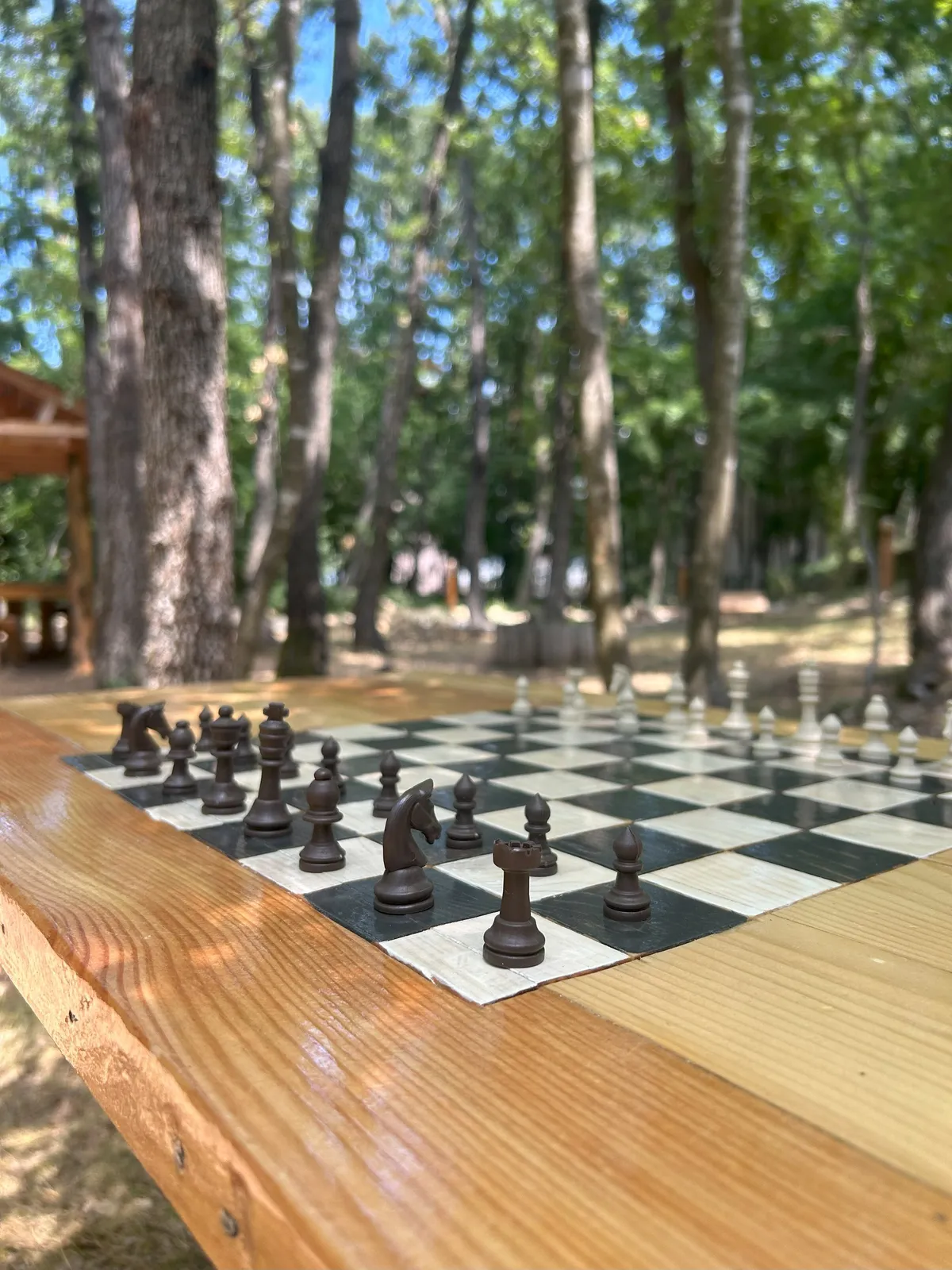 Forest Park, photo 58